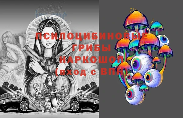 PSILOCYBIN Армянск