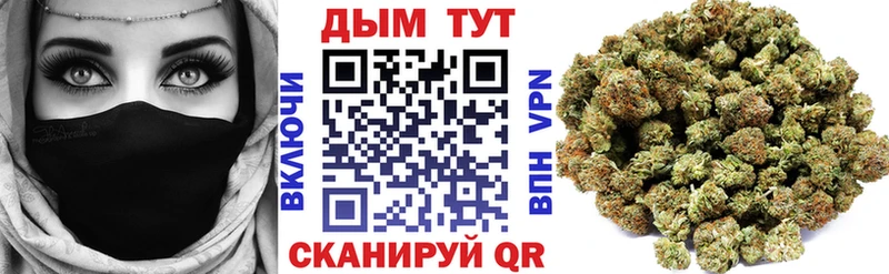 Каннабис сатива  Острогожск 